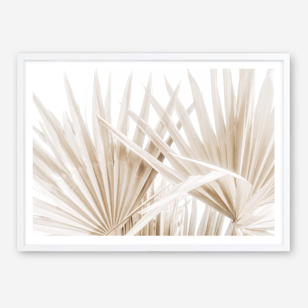 Shop Palm Fronds I Photo Art Print a coastal themed photography wall art print from The Print Emporium wall artwork collection - Buy Australian made fine art poster and framed prints for the home and your interior decor, TPE-1286-AP