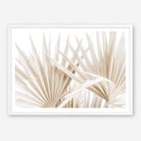 Shop Palm Fronds I Photo Art Print a coastal themed photography wall art print from The Print Emporium wall artwork collection - Buy Australian made fine art poster and framed prints for the home and your interior decor, TPE-1286-AP