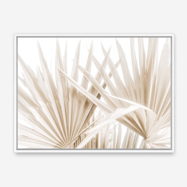 Shop Palm Fronds I Photo Canvas Print a coastal themed photography framed stretched canvas print from The Print Emporium wall artwork collection - Buy Australian made prints for the home and your interior decor space, TPE-1286-CA-35X46-NF