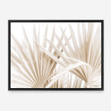 Shop Palm Fronds I Photo Canvas Print a coastal themed photography framed stretched canvas print from The Print Emporium wall artwork collection - Buy Australian made prints for the home and your interior decor space, TPE-1286-CA-35X46-NF