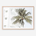 Shop Palm Hotel Photo Art Print a coastal themed photography wall art print from The Print Emporium wall artwork collection - Buy Australian made fine art poster and framed prints for the home and your interior decor, TPE-1239-AP