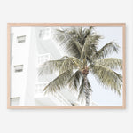 Shop Palm Hotel Photo Art Print a coastal themed photography wall art print from The Print Emporium wall artwork collection - Buy Australian made fine art poster and framed prints for the home and your interior decor, TPE-1239-AP