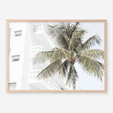 Shop Palm Hotel Photo Art Print a coastal themed photography wall art print from The Print Emporium wall artwork collection - Buy Australian made fine art poster and framed prints for the home and your interior decor, TPE-1239-AP