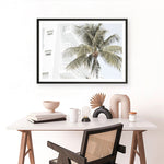 Shop Palm Hotel Photo Art Print a coastal themed photography wall art print from The Print Emporium wall artwork collection - Buy Australian made fine art poster and framed prints for the home and your interior decor, TPE-1239-AP