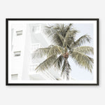 Shop Palm Hotel Photo Art Print a coastal themed photography wall art print from The Print Emporium wall artwork collection - Buy Australian made fine art poster and framed prints for the home and your interior decor, TPE-1239-AP