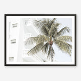 Shop Palm Hotel Photo Art Print a coastal themed photography wall art print from The Print Emporium wall artwork collection - Buy Australian made fine art poster and framed prints for the home and your interior decor, TPE-1239-AP