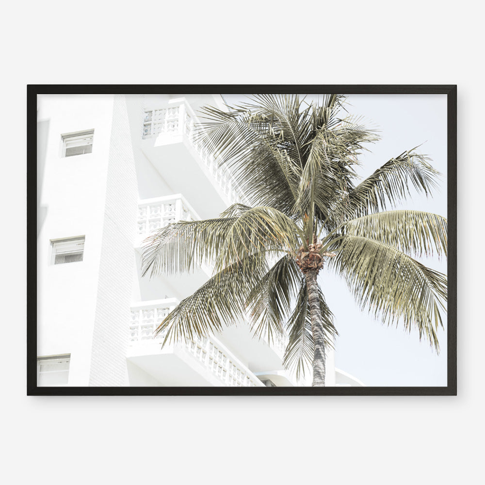 Shop Palm Hotel Photo Art Print a coastal themed photography wall art print from The Print Emporium wall artwork collection - Buy Australian made fine art poster and framed prints for the home and your interior decor, TPE-1239-AP