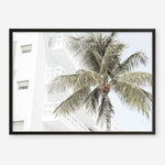 Shop Palm Hotel Photo Art Print a coastal themed photography wall art print from The Print Emporium wall artwork collection - Buy Australian made fine art poster and framed prints for the home and your interior decor, TPE-1239-AP