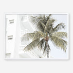 Shop Palm Hotel Photo Art Print a coastal themed photography wall art print from The Print Emporium wall artwork collection - Buy Australian made fine art poster and framed prints for the home and your interior decor, TPE-1239-AP