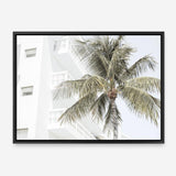 Shop Palm Hotel Photo Canvas Print a coastal themed photography framed stretched canvas print from The Print Emporium wall artwork collection - Buy Australian made prints for the home and your interior decor space, TPE-1239-CA-35X46-NF