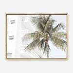 Shop Palm Hotel Photo Canvas Print a coastal themed photography framed stretched canvas print from The Print Emporium wall artwork collection - Buy Australian made prints for the home and your interior decor space, TPE-1239-CA-35X46-NF