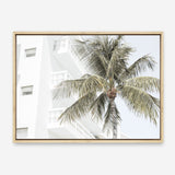 Shop Palm Hotel Photo Canvas Print a coastal themed photography framed stretched canvas print from The Print Emporium wall artwork collection - Buy Australian made prints for the home and your interior decor space, TPE-1239-CA-35X46-NF