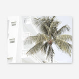 Shop Palm Hotel Photo Canvas Print a coastal themed photography framed stretched canvas print from The Print Emporium wall artwork collection - Buy Australian made prints for the home and your interior decor space, TPE-1239-CA-35X46-NF