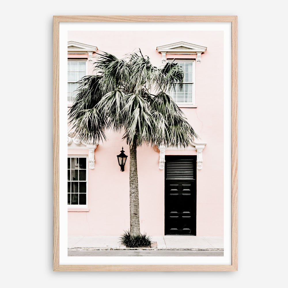 Shop Palm House I Photo Art Print a coastal themed photography wall art print from The Print Emporium wall artwork collection - Buy Australian made fine art poster and framed prints for the home and your interior decor, TPE-617-AP