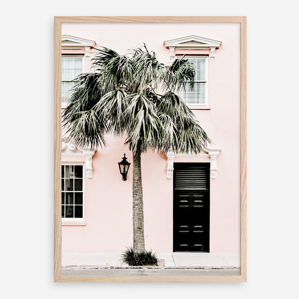 Shop Palm House I Photo Art Print a coastal themed photography wall art print from The Print Emporium wall artwork collection - Buy Australian made fine art poster and framed prints for the home and your interior decor, TPE-617-AP