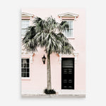 Shop Palm House I Photo Art Print a coastal themed photography wall art print from The Print Emporium wall artwork collection - Buy Australian made fine art poster and framed prints for the home and your interior decor, TPE-617-AP