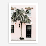 Shop Palm House I Photo Art Print a coastal themed photography wall art print from The Print Emporium wall artwork collection - Buy Australian made fine art poster and framed prints for the home and your interior decor, TPE-617-AP