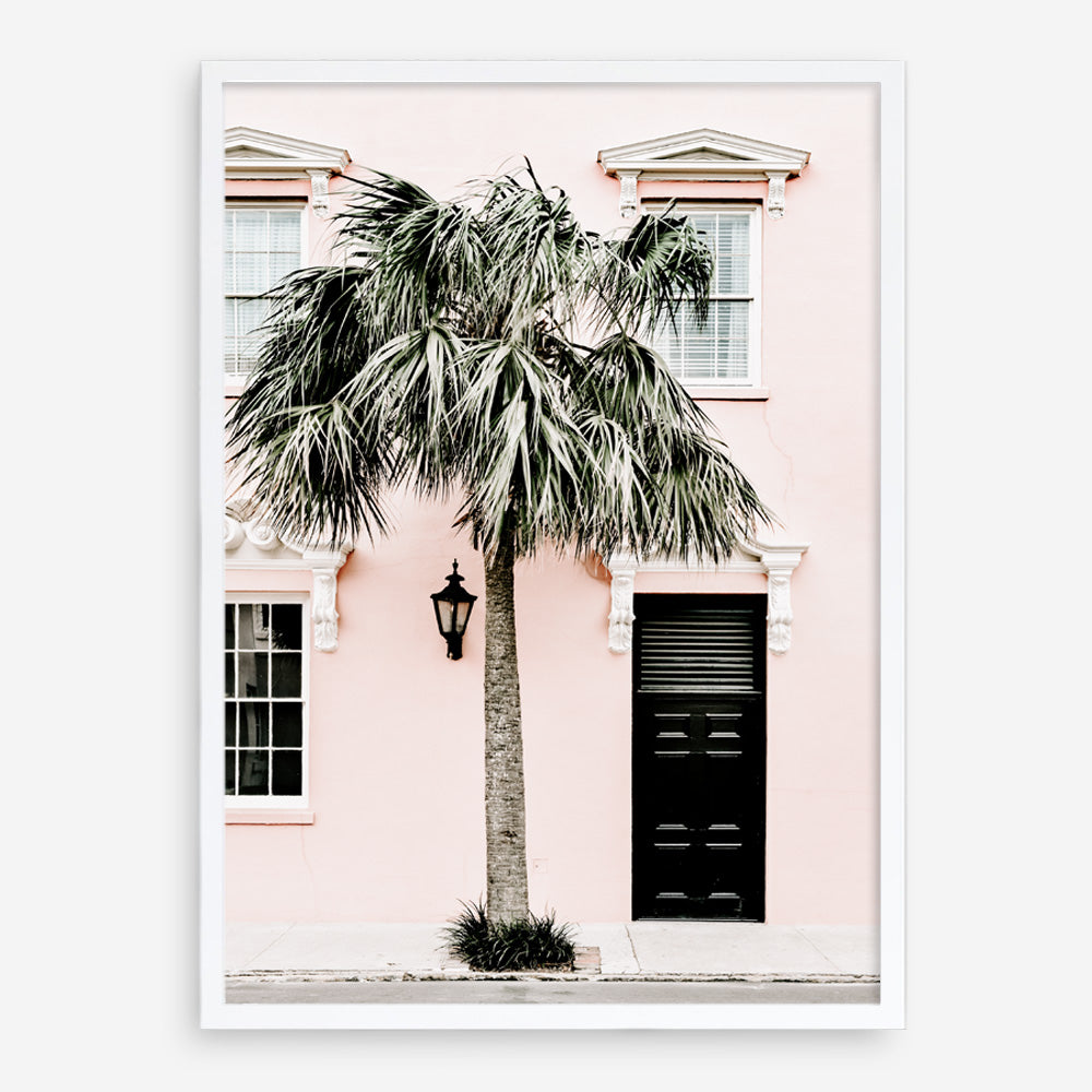 Shop Palm House I Photo Art Print a coastal themed photography wall art print from The Print Emporium wall artwork collection - Buy Australian made fine art poster and framed prints for the home and your interior decor, TPE-617-AP