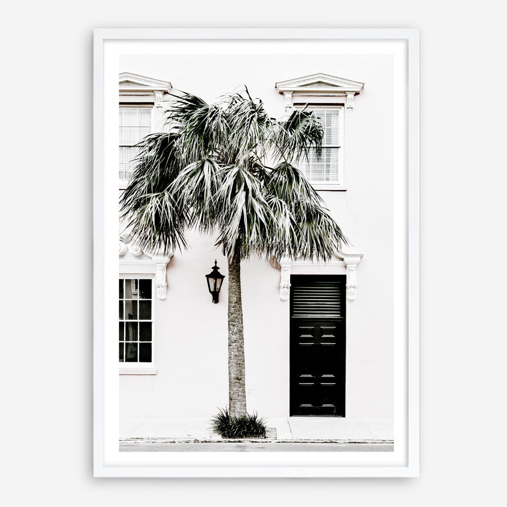 Shop Palm House II Photo Art Print a coastal themed photography wall art print from The Print Emporium wall artwork collection - Buy Australian made fine art poster and framed prints for the home and your interior decor, TPE-618-AP