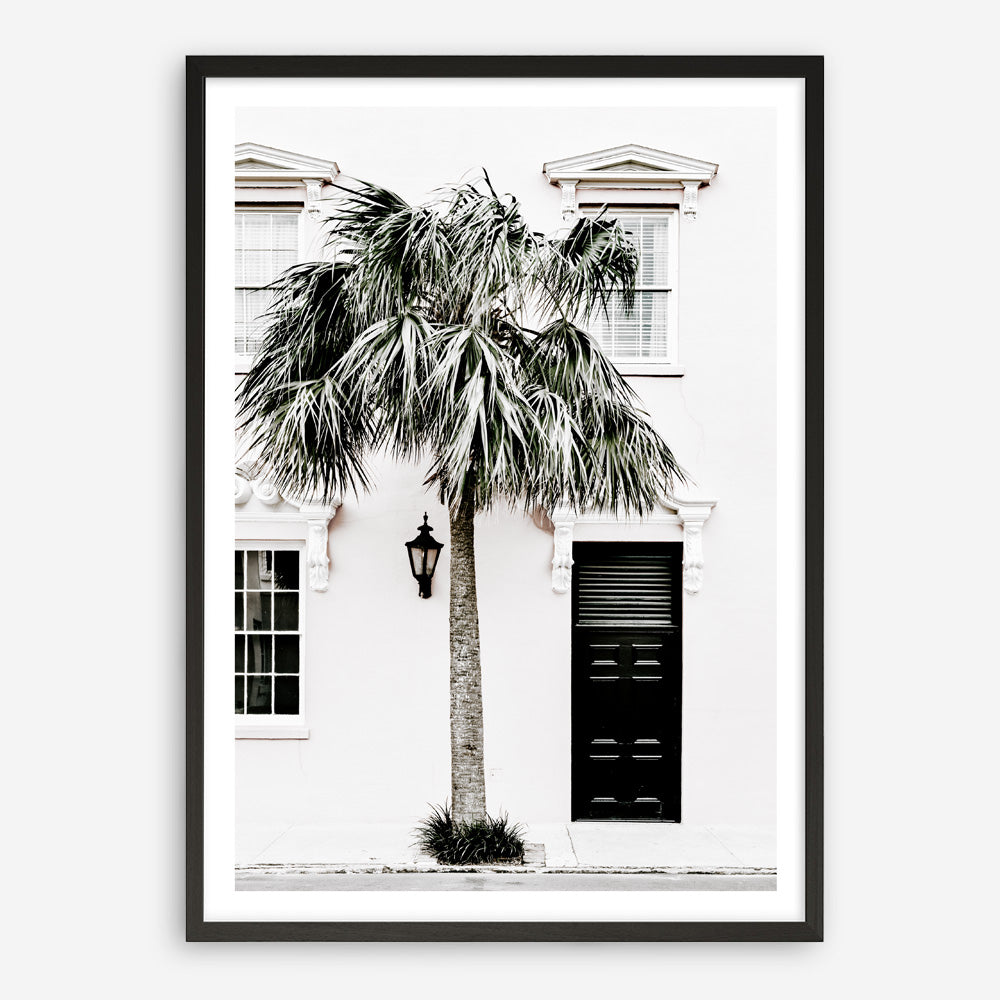 Shop Palm House II Photo Art Print a coastal themed photography wall art print from The Print Emporium wall artwork collection - Buy Australian made fine art poster and framed prints for the home and your interior decor, TPE-618-AP