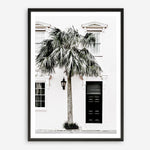 Shop Palm House II Photo Art Print a coastal themed photography wall art print from The Print Emporium wall artwork collection - Buy Australian made fine art poster and framed prints for the home and your interior decor, TPE-618-AP