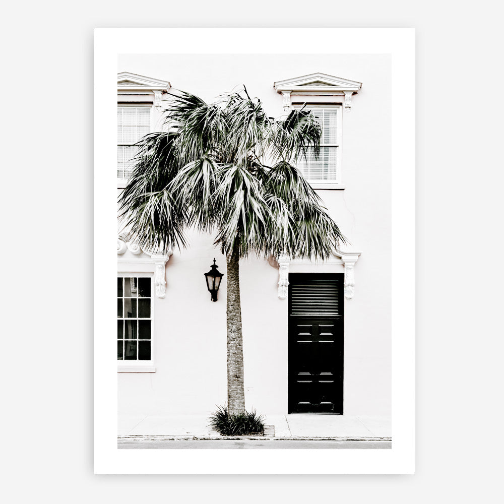 Shop Palm House II Photo Art Print a coastal themed photography wall art print from The Print Emporium wall artwork collection - Buy Australian made fine art poster and framed prints for the home and your interior decor, TPE-618-AP
