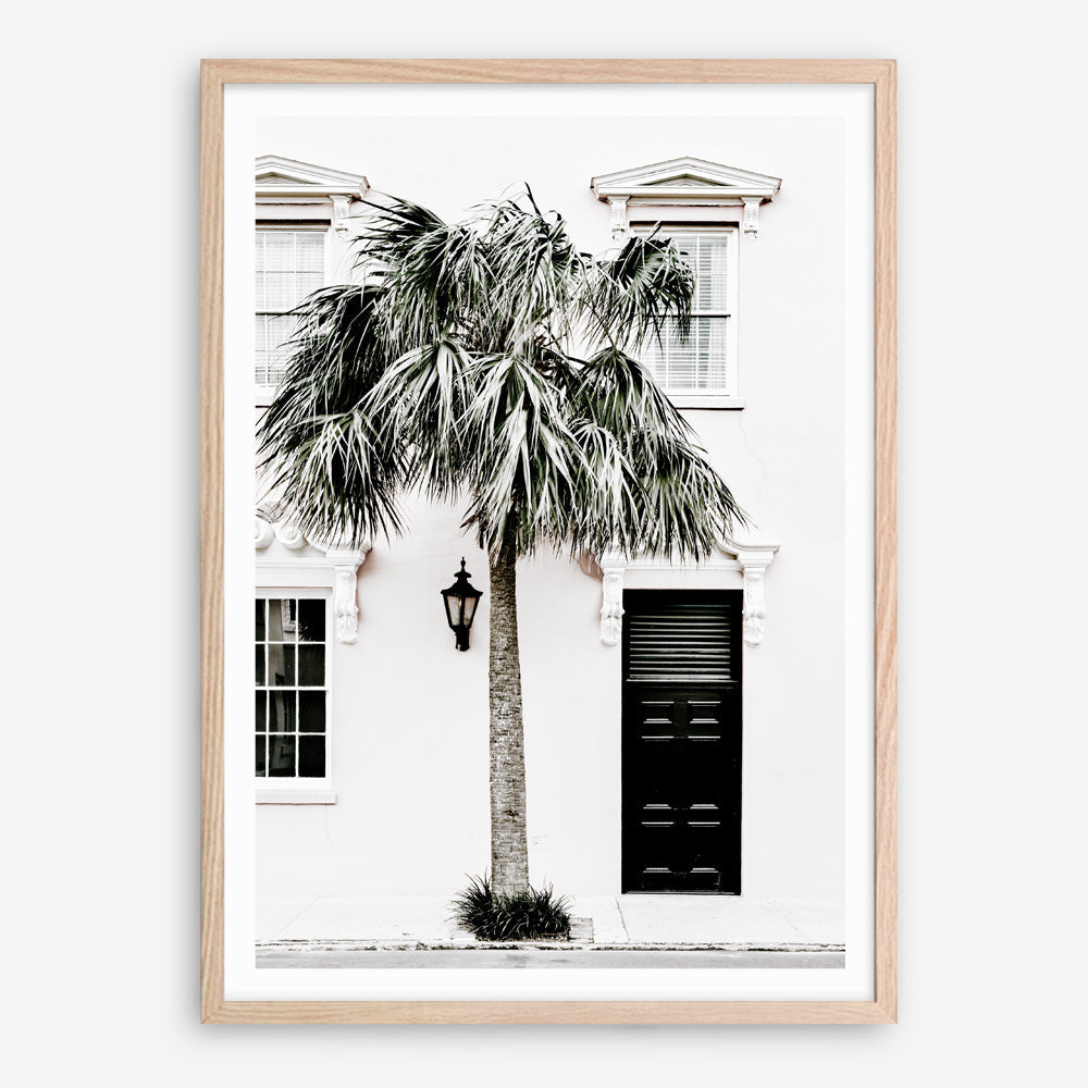 Shop Palm House II Photo Art Print a coastal themed photography wall art print from The Print Emporium wall artwork collection - Buy Australian made fine art poster and framed prints for the home and your interior decor, TPE-618-AP