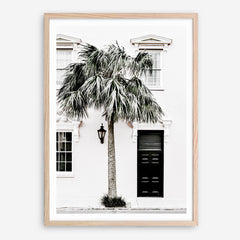Shop Palm House II Photo Art Print a coastal themed photography wall art print from The Print Emporium wall artwork collection - Buy Australian made fine art poster and framed prints for the home and your interior decor, TPE-618-AP