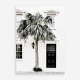 Shop Palm House II Photo Art Print a coastal themed photography wall art print from The Print Emporium wall artwork collection - Buy Australian made fine art poster and framed prints for the home and your interior decor, TPE-618-AP