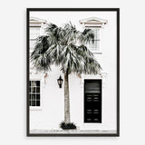 Shop Palm House II Photo Art Print a coastal themed photography wall art print from The Print Emporium wall artwork collection - Buy Australian made fine art poster and framed prints for the home and your interior decor, TPE-618-AP