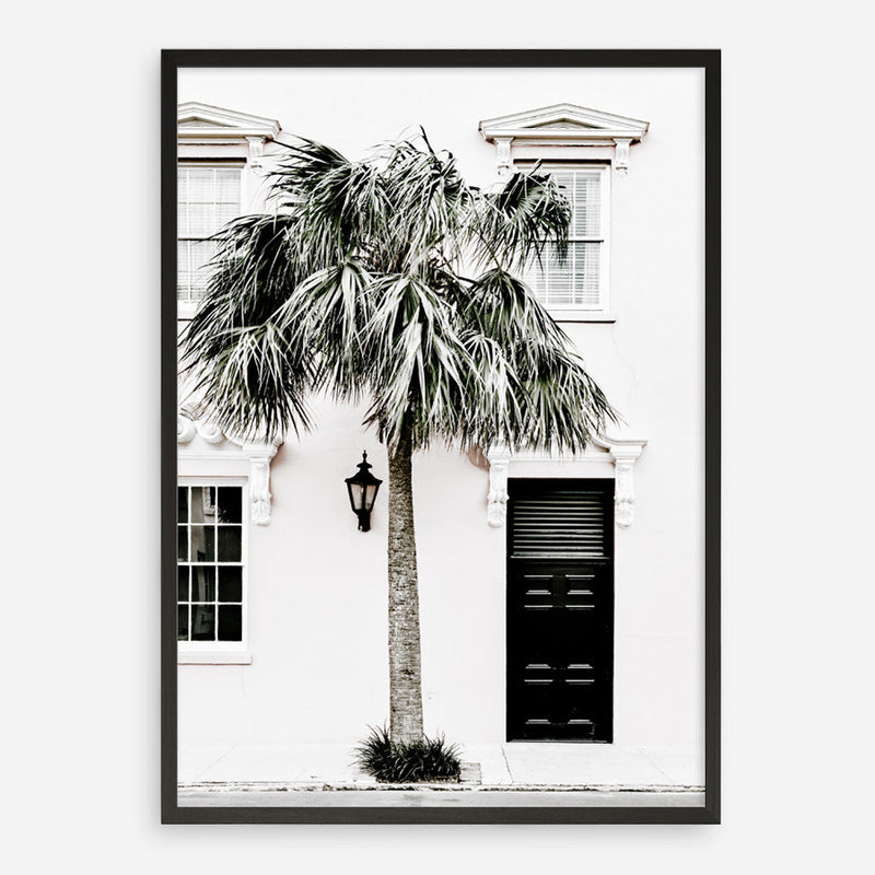 Shop Palm House II Photo Art Print a coastal themed photography wall art print from The Print Emporium wall artwork collection - Buy Australian made fine art poster and framed prints for the home and your interior decor, TPE-618-AP