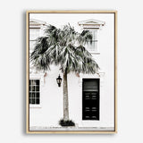Shop Palm House II Photo Canvas Print a coastal themed photography framed stretched canvas print from The Print Emporium wall artwork collection - Buy Australian made prints for the home and your interior decor space, TPE-618-CA-35X46-NF