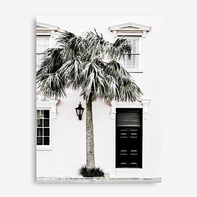 Shop Palm House II Photo Canvas Print a coastal themed photography framed stretched canvas print from The Print Emporium wall artwork collection - Buy Australian made prints for the home and your interior decor space, TPE-618-CA-35X46-NF