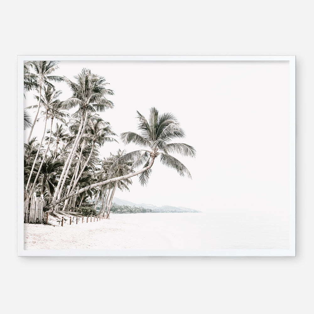 Shop Palm Island Photo Art Print a coastal themed photography wall art print from The Print Emporium wall artwork collection - Buy Australian made fine art poster and framed prints for the home and your interior decor, TPE-511-AP
