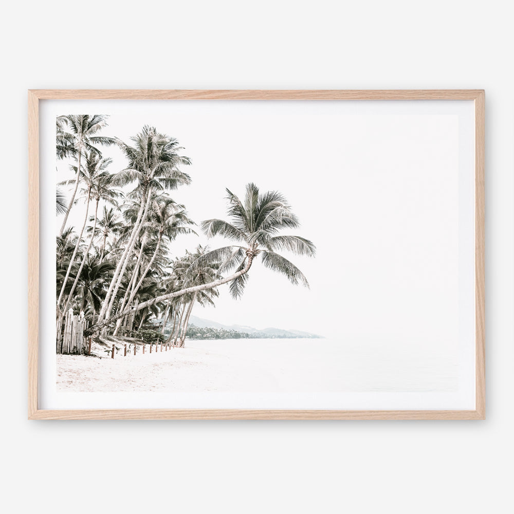 Shop Palm Island Photo Art Print a coastal themed photography wall art print from The Print Emporium wall artwork collection - Buy Australian made fine art poster and framed prints for the home and your interior decor, TPE-511-AP