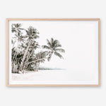 Shop Palm Island Photo Art Print a coastal themed photography wall art print from The Print Emporium wall artwork collection - Buy Australian made fine art poster and framed prints for the home and your interior decor, TPE-511-AP