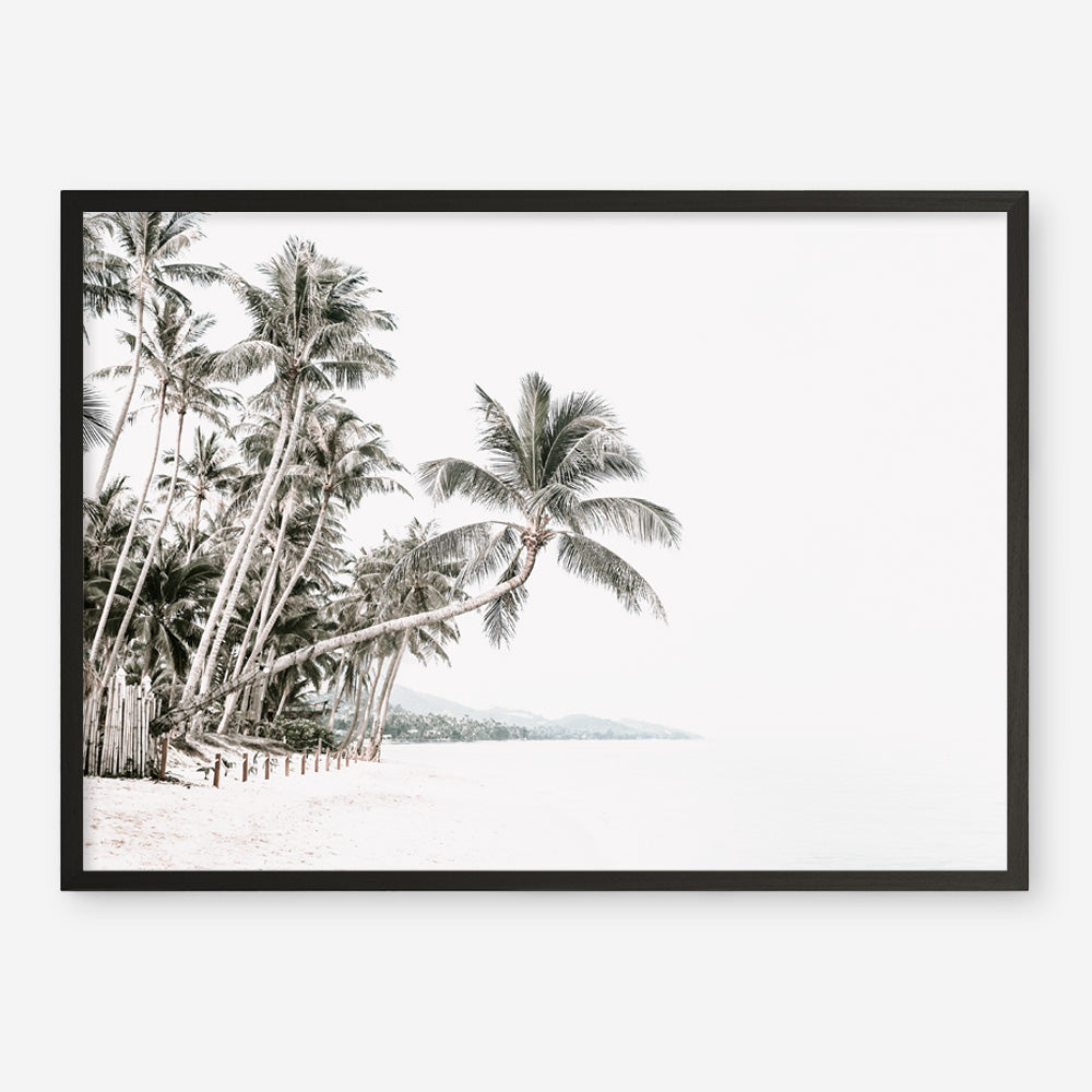 Shop Palm Island Photo Art Print a coastal themed photography wall art print from The Print Emporium wall artwork collection - Buy Australian made fine art poster and framed prints for the home and your interior decor, TPE-511-AP