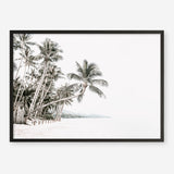 Shop Palm Island Photo Art Print a coastal themed photography wall art print from The Print Emporium wall artwork collection - Buy Australian made fine art poster and framed prints for the home and your interior decor, TPE-511-AP