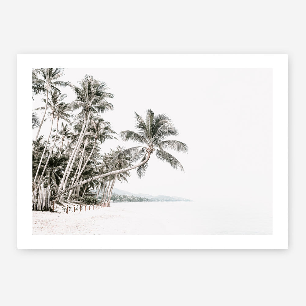 Shop Palm Island Photo Art Print a coastal themed photography wall art print from The Print Emporium wall artwork collection - Buy Australian made fine art poster and framed prints for the home and your interior decor, TPE-511-AP