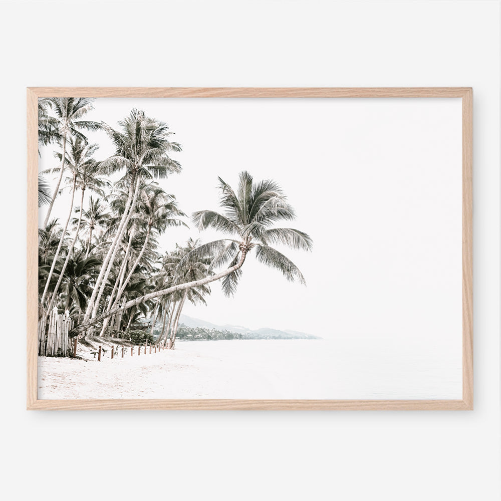 Shop Palm Island Photo Art Print a coastal themed photography wall art print from The Print Emporium wall artwork collection - Buy Australian made fine art poster and framed prints for the home and your interior decor, TPE-511-AP