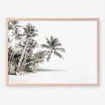 Shop Palm Island Photo Art Print a coastal themed photography wall art print from The Print Emporium wall artwork collection - Buy Australian made fine art poster and framed prints for the home and your interior decor, TPE-511-AP