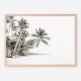 Shop Palm Island Photo Art Print a coastal themed photography wall art print from The Print Emporium wall artwork collection - Buy Australian made fine art poster and framed prints for the home and your interior decor, TPE-511-AP