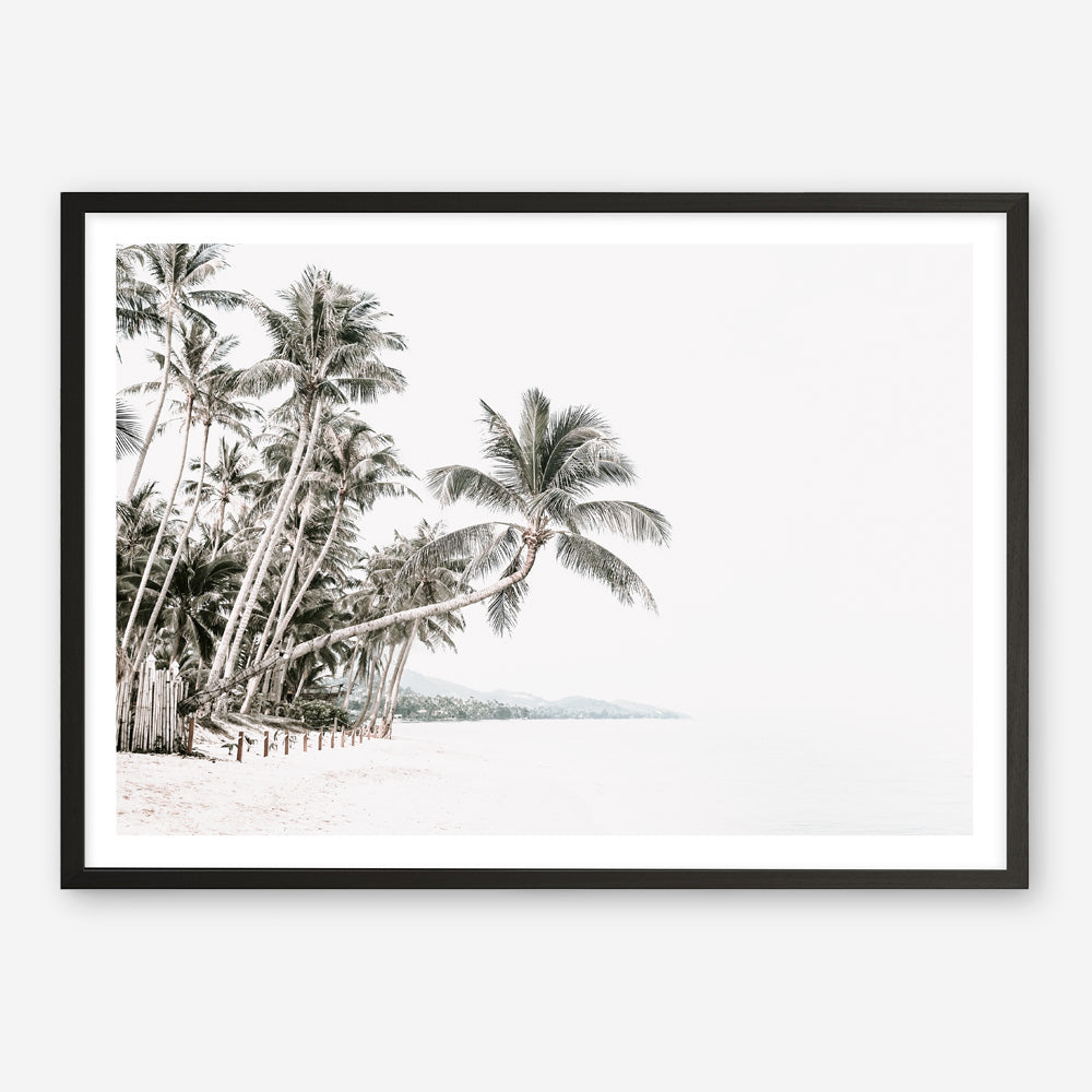 Shop Palm Island Photo Art Print a coastal themed photography wall art print from The Print Emporium wall artwork collection - Buy Australian made fine art poster and framed prints for the home and your interior decor, TPE-511-AP