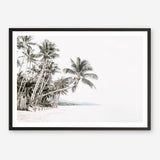 Shop Palm Island Photo Art Print a coastal themed photography wall art print from The Print Emporium wall artwork collection - Buy Australian made fine art poster and framed prints for the home and your interior decor, TPE-511-AP