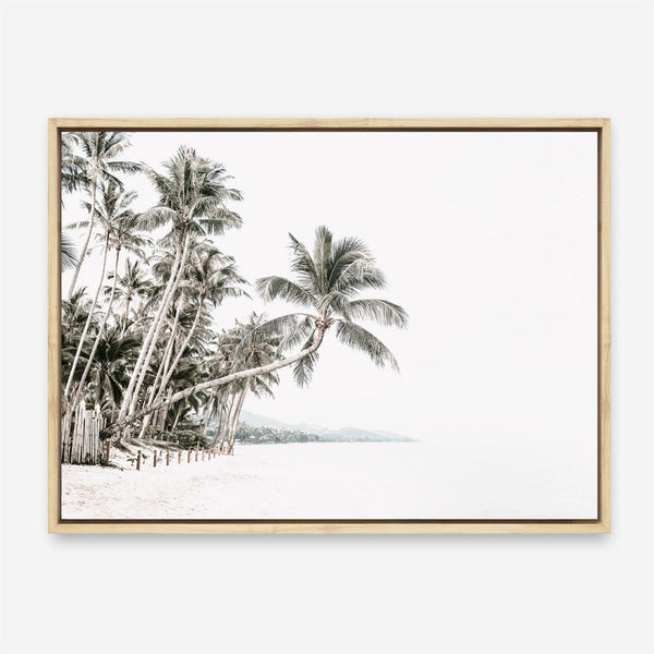 Shop Palm Island Photo Canvas Print a coastal themed photography framed stretched canvas print from The Print Emporium wall artwork collection - Buy Australian made prints for the home and your interior decor space, TPE-511-CA-35X46-NF