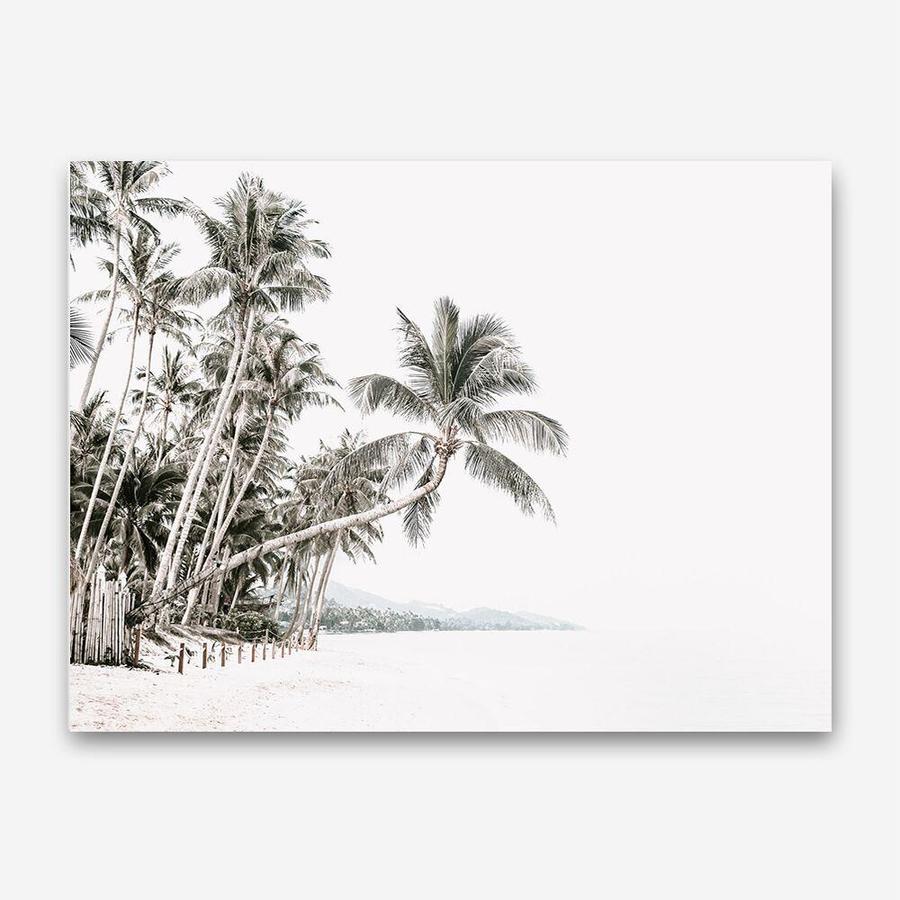 Shop Palm Island Photo Canvas Print a coastal themed photography framed stretched canvas print from The Print Emporium wall artwork collection - Buy Australian made prints for the home and your interior decor space, TPE-511-CA-35X46-NF