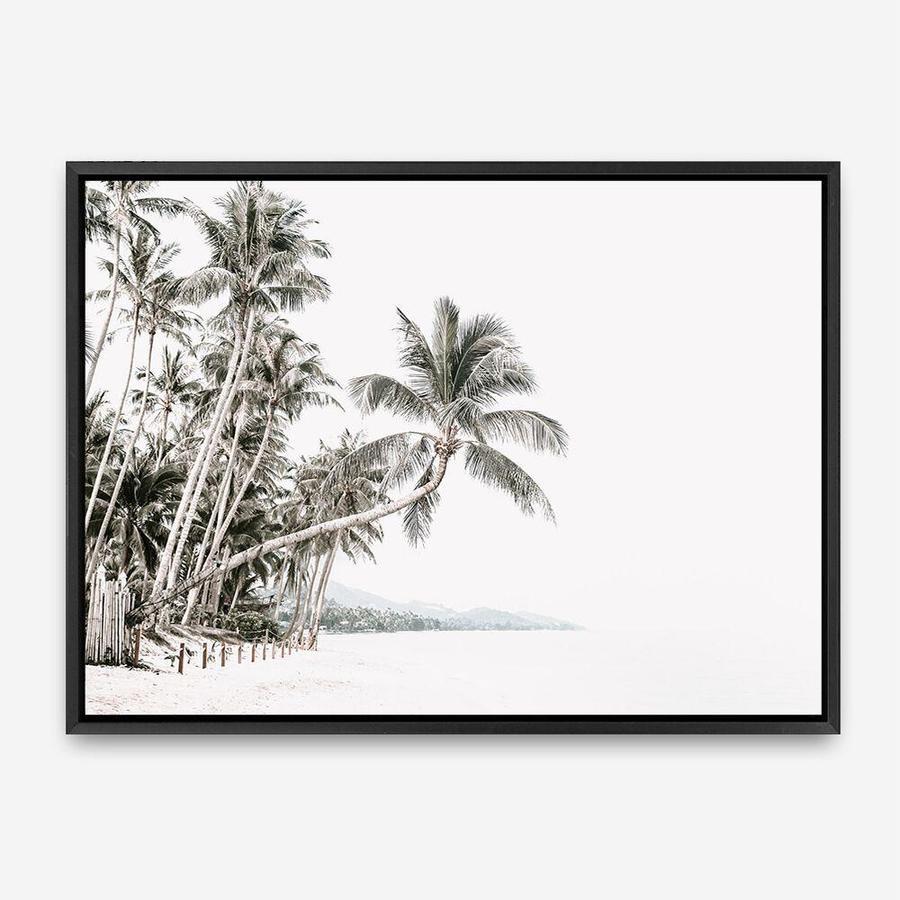 Shop Palm Island Photo Canvas Print a coastal themed photography framed stretched canvas print from The Print Emporium wall artwork collection - Buy Australian made prints for the home and your interior decor space, TPE-511-CA-35X46-NF
