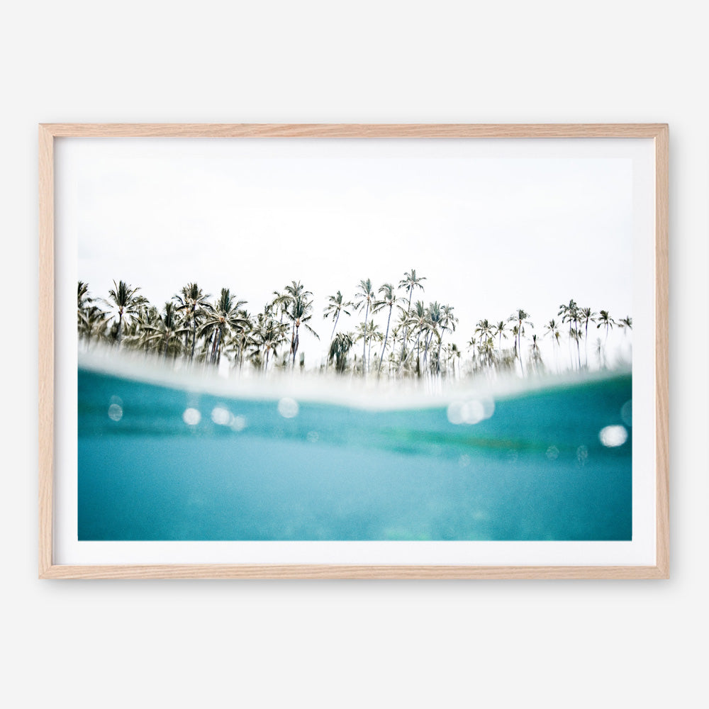 Shop Palm Oasis Photo Art Print a coastal themed photography wall art print from The Print Emporium wall artwork collection - Buy Australian made fine art poster and framed prints for the home and your interior decor, TPE-958-AP