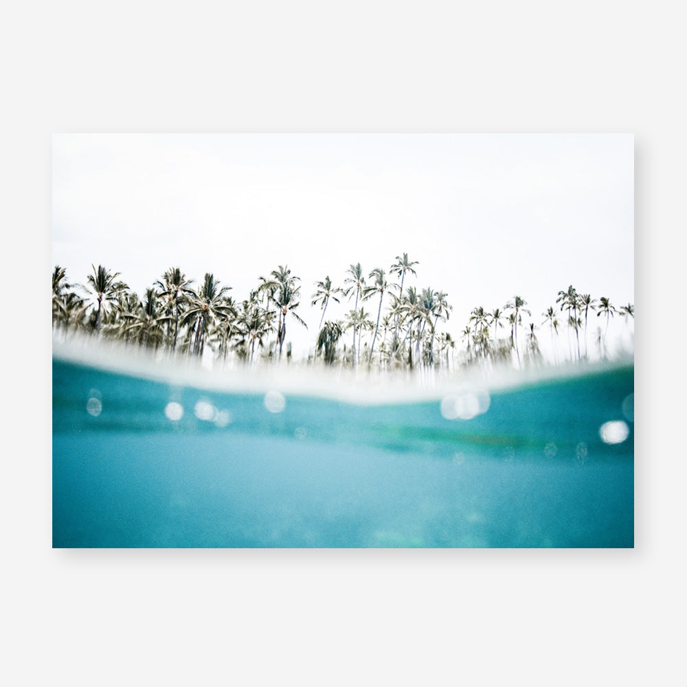 Shop Palm Oasis Photo Art Print a coastal themed photography wall art print from The Print Emporium wall artwork collection - Buy Australian made fine art poster and framed prints for the home and your interior decor, TPE-958-AP