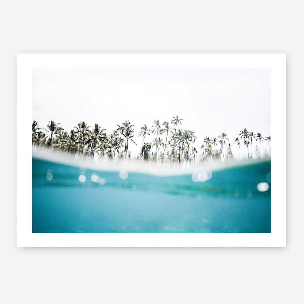 Shop Palm Oasis Photo Art Print a coastal themed photography wall art print from The Print Emporium wall artwork collection - Buy Australian made fine art poster and framed prints for the home and your interior decor, TPE-958-AP